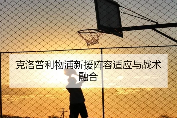 克洛普利物浦新援阵容适应与战术融合 - zhengtu